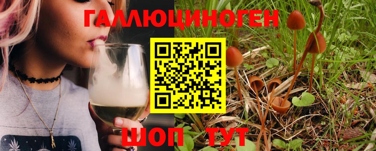 Галлюциногенные грибы мицелий  Псилоцибиновые грибы MAGIC MUSHROOMS  Дмитров  Вход с VPN 