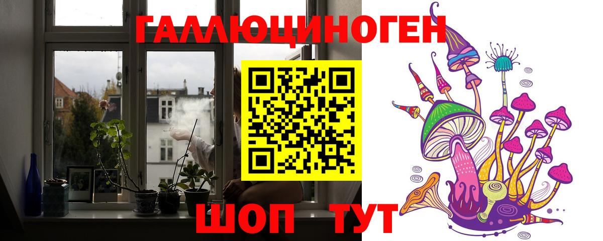 Гашиш Дмитров